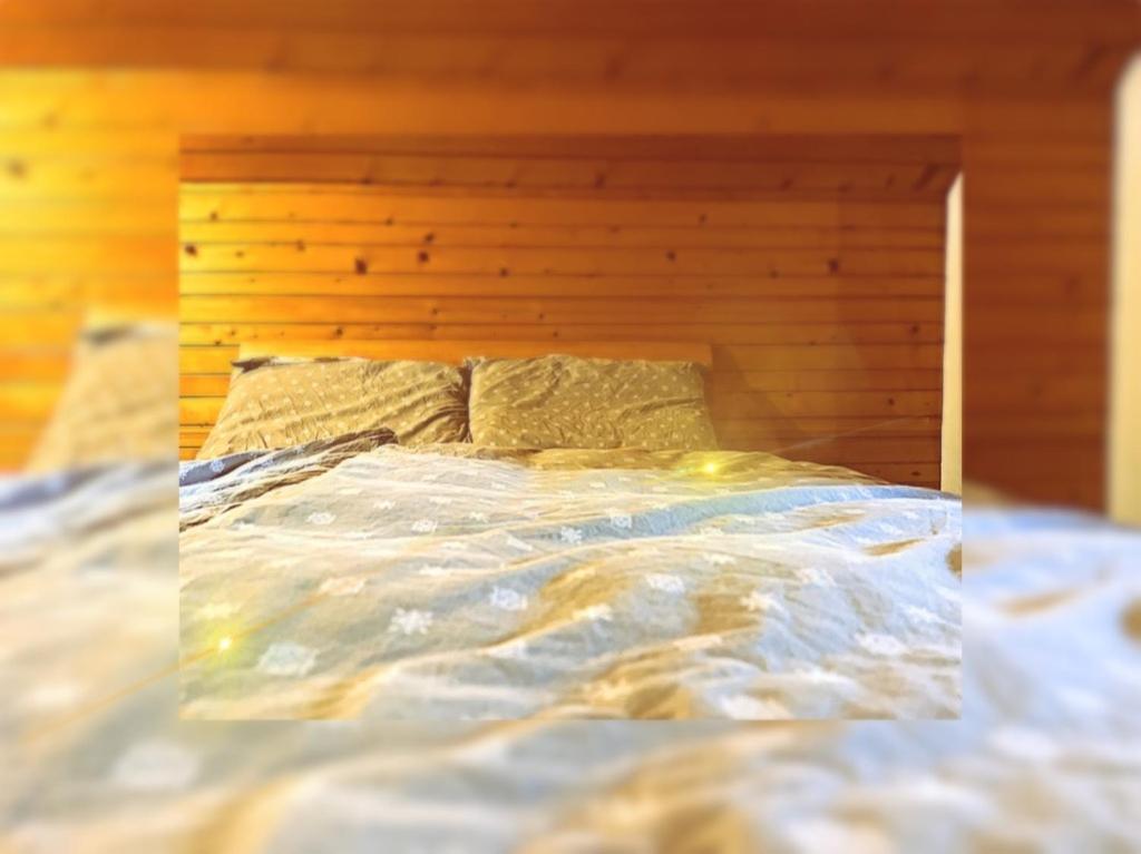 Hiska Pri Vrjaku Hébergement de vacances Bohinjska Bistrica